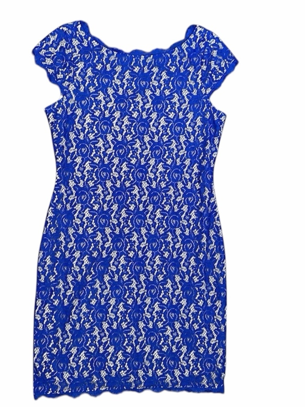 Eliza J Blue‎ Cap Sleeve Blue Lace Sheath Dress • size 8